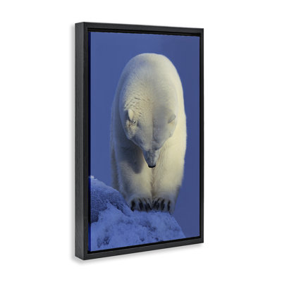 Toile flottante encadrée «Contemplation» par Shane Lamb