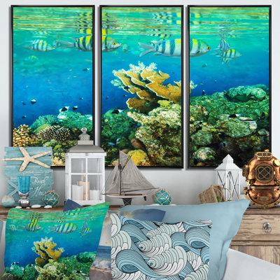 «Fantastic Red Sea Coral Fish» - ensemble d'art mural sur toile encadrée Sea & Shore