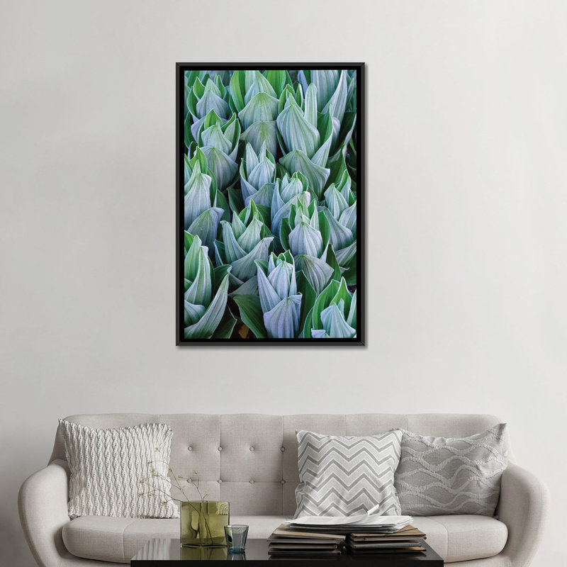 «False Hellebore with Frost, Gothic, Colorado», impression sur toile, H 26 po x l 18 po x P 1,5 po, Toile avec cadre noir