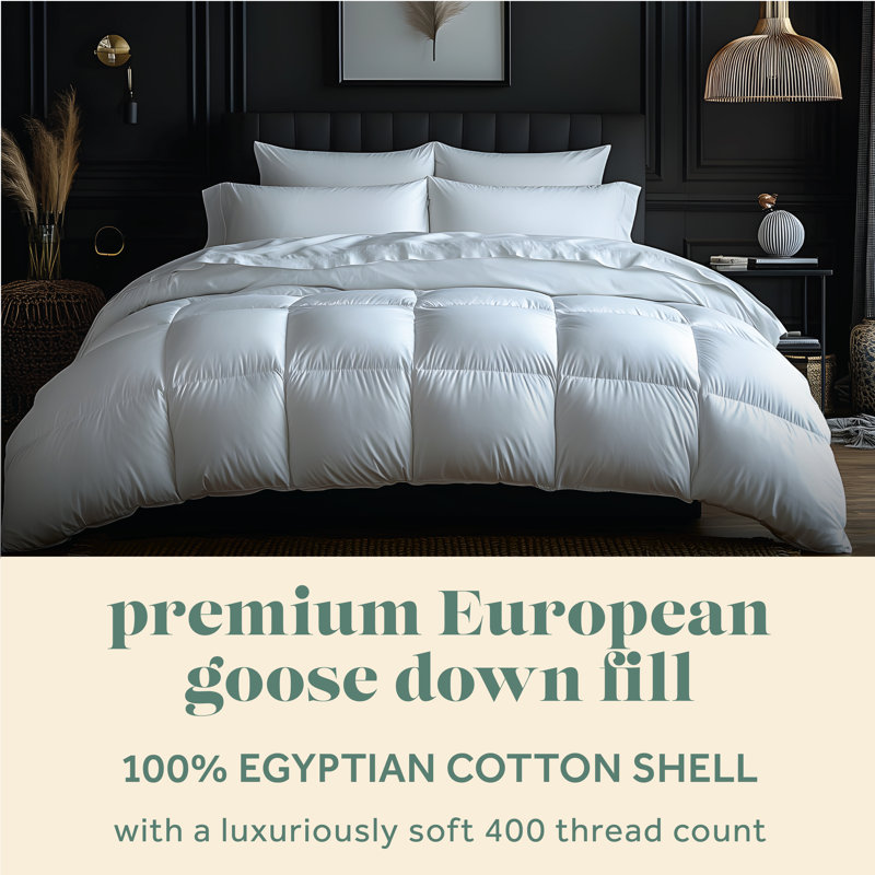 Goose Down Comforter 100% Egyptian-Quality Cotton 600 Thread Count Duvet Insert with Corner Tabs, Twin