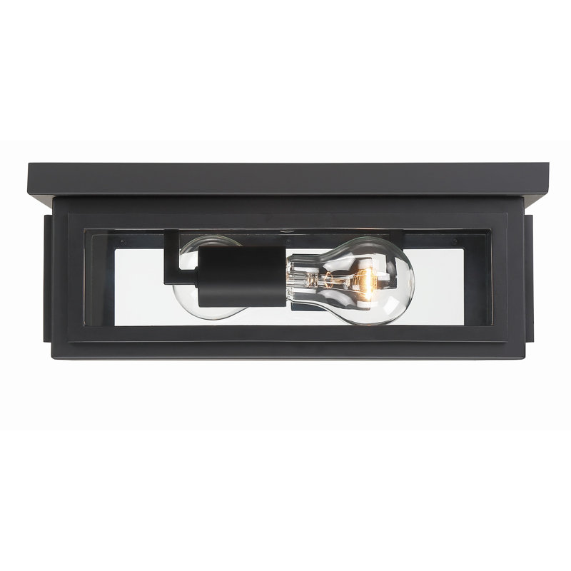 Matte Black and Clear Glass 2-Light Outdoor Flush Mount