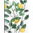 Lemon Tree by Studio Arts Canvas Art Print
