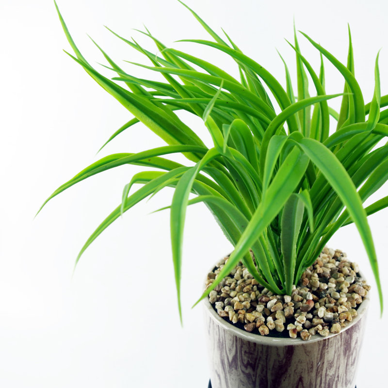 Anjeli 35cm Faux Foliage Plant in Ceramic Pot
