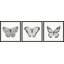 Gowans Spread Your Wings And Fly - Ensemble de 3 cadres photo-82612580