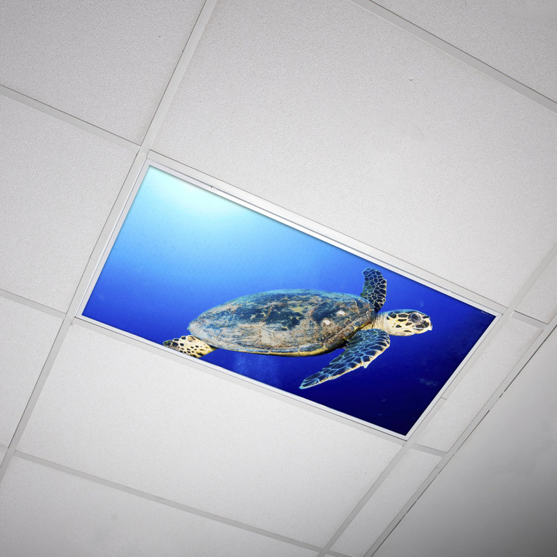 Couvre-lampes fluorescents pour salle de classe Ocean - pour luminaire 2 x 4 - par Octo Lights