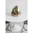 Handmade Glass Terrarium
