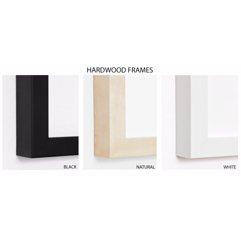 Cactus Blossom, 29" H x 40" W, Black