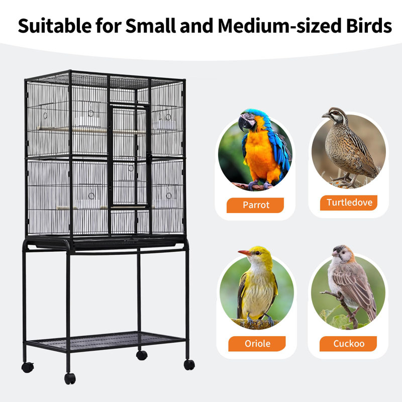 Très grande cage à oiseaux de 62 po avec support roulant et tablette de rangement - cage de vol en fer forgé robuste, verrou sécuritaire - idéal pour les perruches, les perroquets, les cacahuètes, les conures, les tourtereaux - noir, spéc.: 20