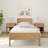 Aileana Solid Wood Panel Bed-1308450942-1308234584