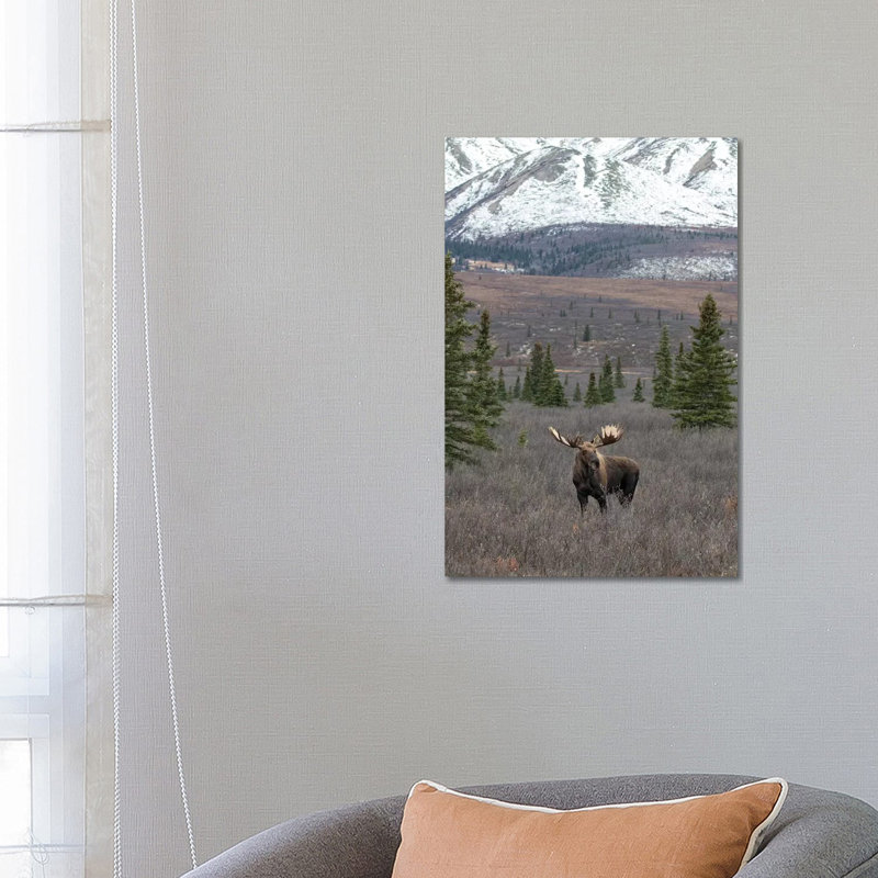 Denali Moose With Snow by Eric Fisher - Wrapped Canvas Gallery-Wrapped Canvas Giclée, 66.04 cm H x 45.72 cm W x 1.91 cm D