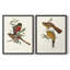 Impression encadrée ElegantTrogonsI-Premium - prête à être accrochée - aucun clou requis - aucun clou requis-2004231884-2004231887