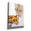 «Moving Shadows» par Barbara Keith-2064033716