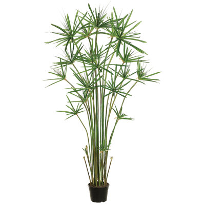60'' Faux Cypress Tree in Pot Liner