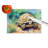 Turtles Tortoises Glass Cutting Board Large