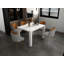 Danariah Extendable Dining Table