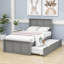 Deshannon Twin Size Wood Bed with Trundle-437580327