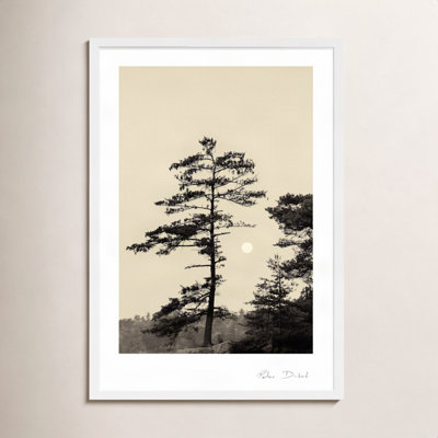 Garden Sign "Serenity" Print by Peter Dušek