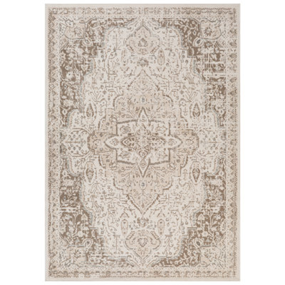 Nimaha Transitional Medallion Oriental Area Rug