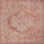 Outdoor Nile Area Rug Rust Color