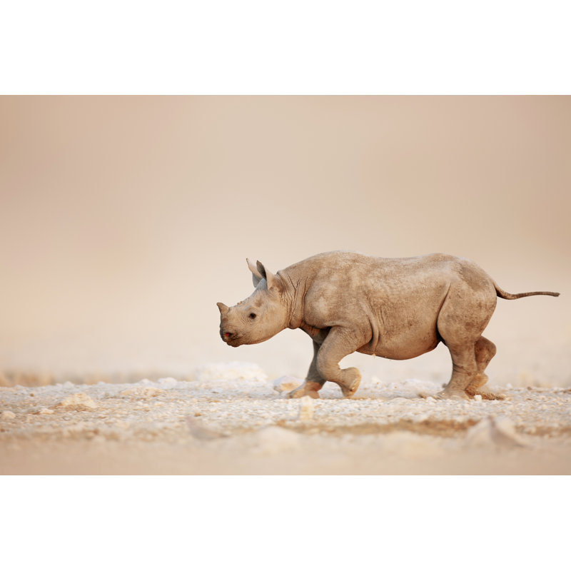 Rhinoceros Baby Running by Johan63 - Wrapped Canvas Print, 61cm H x 91cm W
