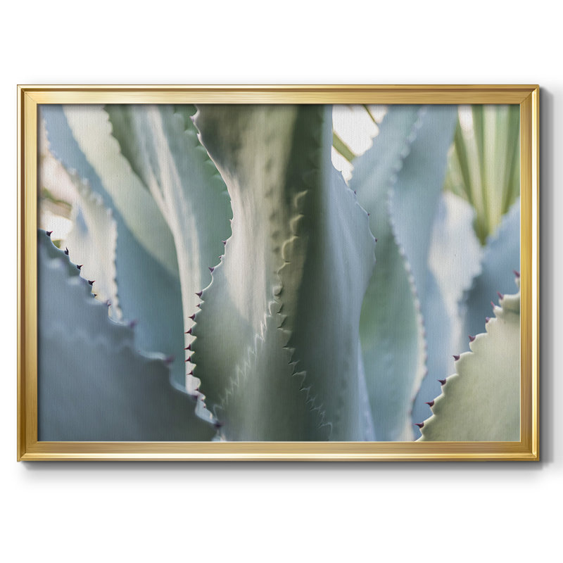 Blue Agave II, reproduction d'art sur toile, Or, H 18 po x l 26 po x P 1,5 po