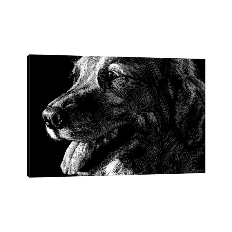 Canine Scratchboard XIV by Julie T. Chapman - Wrapped Canvas Print, 20.32 cm H x 30.48 cm W