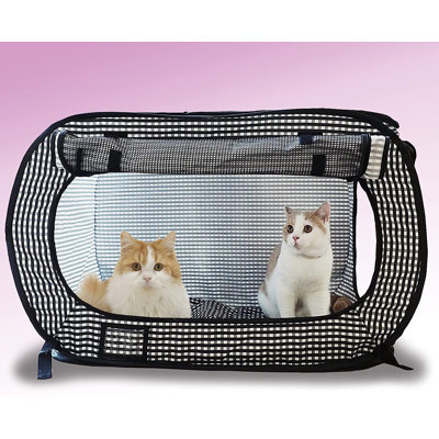 Cages portatives sans pression et poubelles intérieures et extérieures populaires pour les voyages au Japon! (Noir, cage / chenil)