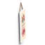 Carley Wall Decor
