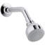 Coralais 2.5 GPM Full/Standard Fixed Shower Head-952525621-1065031930