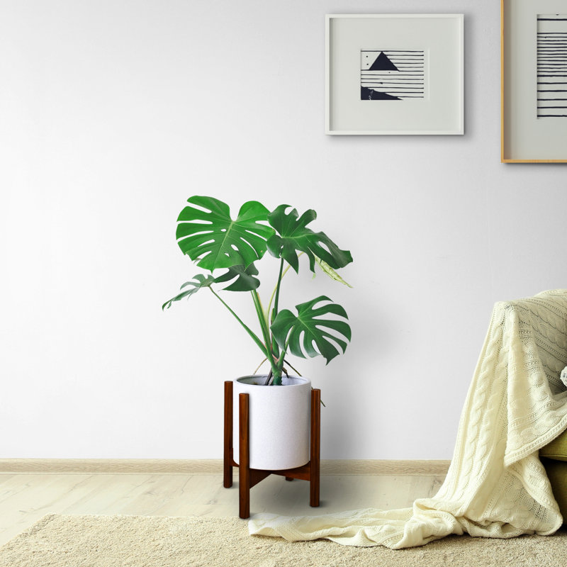 Support pour plante en bois massif à piédestal Ogallala, H 16 po x L 10 po x P 10 po, Acajou antique
