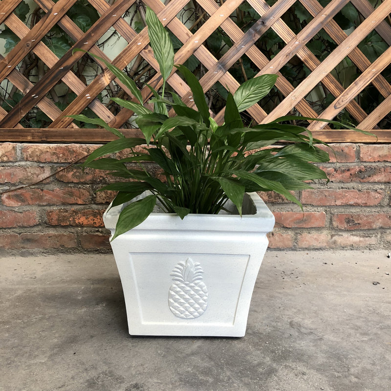 Boîte à fleurs en béton Caenas, H 13 po x l 14 po x P 14 po, Gris clair