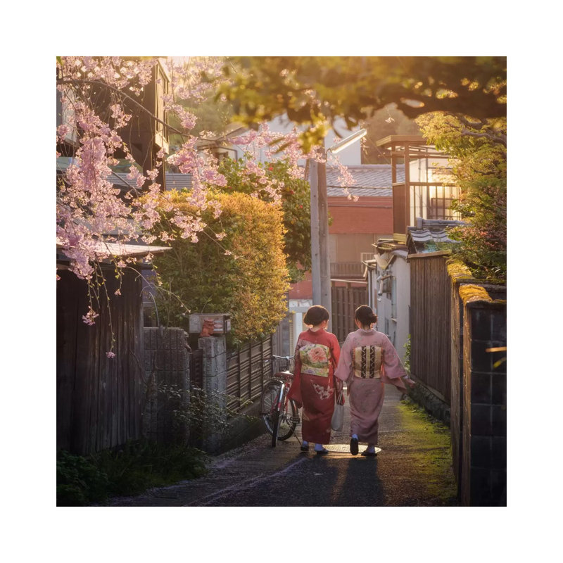 Spring In Japan Xiii by Daniel Kordan - Wrapped Canvas Print, 30.48 cm H x 30.48 cm W