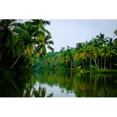 The Backwaters-Kerala par Vedwits - photographie sur toile tendue