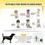 Remorque pour animal de compagnie