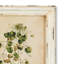 Wild Flower Botanical Set