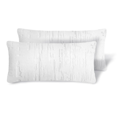 Brushstroke  Rectanlge Pillow Cover & Insert (Set of 2)