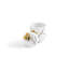 Butterfly Ginkgo Small Container