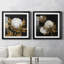 Cotton Balls I - Cadre photo-1492861061-1492861058-1492861057