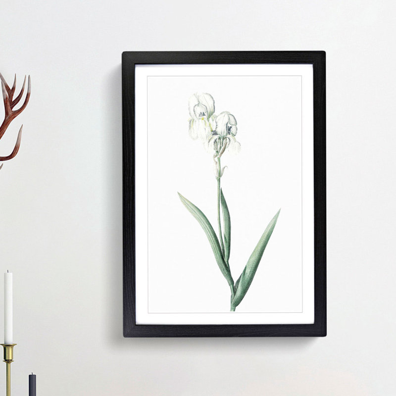 Tall-Bearded Iris by Pierre-Joseph Redoute - Picture Frame Art Print, 36cm H x 27cm W x 2cm D, Black Framed