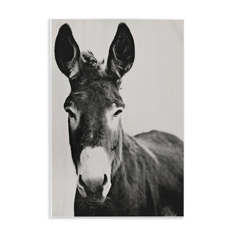 Plaque murale Franz the Donkey Portrait, design par Amy Carroll, H 15 po x l 10 po