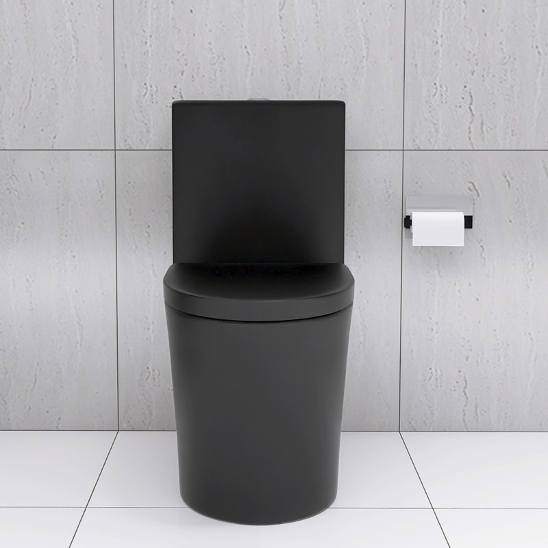 Toilette allongée une pièce à double chasse 1,1 / 1,6 GPF noir mat 1000g, noir mat, Noir mat