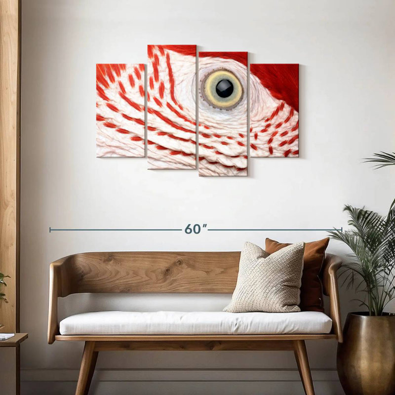 Brampt Macaw Parrot Eye