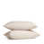 Shell Pink