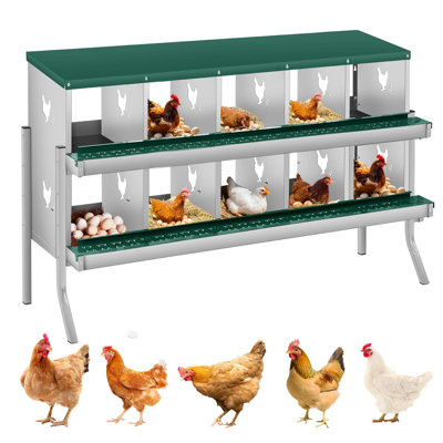 Boîte de nidification pour poulet à 10 compartiments, boîte à œufs en métal avec trous ventilés, vert