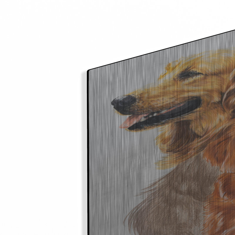 «Golden Retriever With Ghost Image» par Barbara Keith, H 36 po x l 24 po
