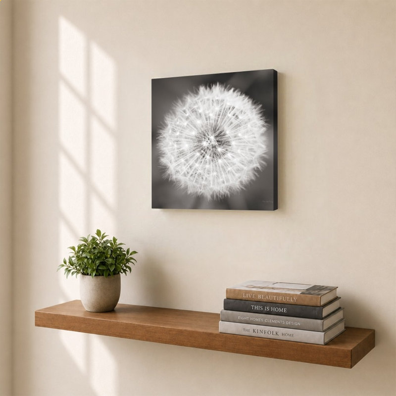 Dandelion Seedhead par Alan Majchrowicz - Impression sur toile, H 24 po x l 24 po