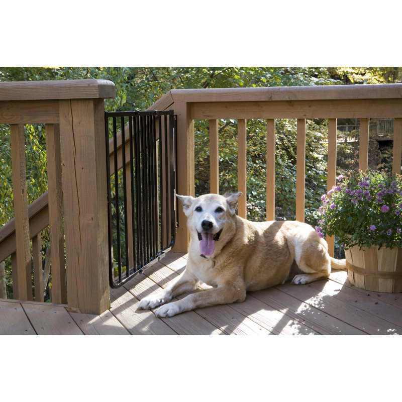 Outdoor Safety Gate, Black