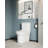 1.1/1.6 Gpf Elongated Comfort Height Floor Mounted One-Piece Toilet, Cupc Certified, Watersense Cetified, Ceramic, White Color, Soft Close Seat
