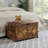 Rustic Brown Entryway Storage Bench with Spacious Interior and U-Shaped Pull, Versatile Toy Box Organizer and Seating Solution for Multiple Rooms, Easy Assembly and Durable Construction-970128706-970941854