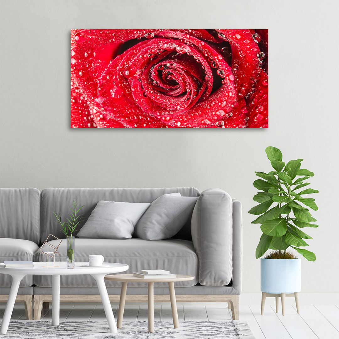 Wassertropfen auf einer Rose - Ungerahmte Kunstdrucke auf Leinwand